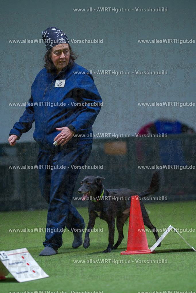 7R505974 | Professionelle Tierfotografie in Mönchengladbach von Daniel Wirth (allesWIRTHgut). Liebevolle & natürliche Bilder von Hunden & Katzen für unvergessliche Erinnerungen.