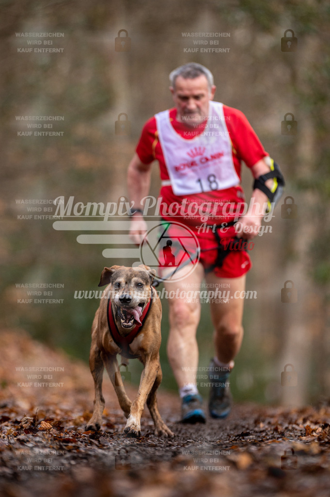 SPA_2023_DIM_CCL-166 | PayLife