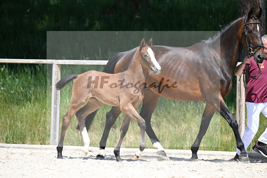 Chacco Lover x Kannan_SF_Ruppert_10250382 | hf-fotografie - Realisiert mit Pictrs.com