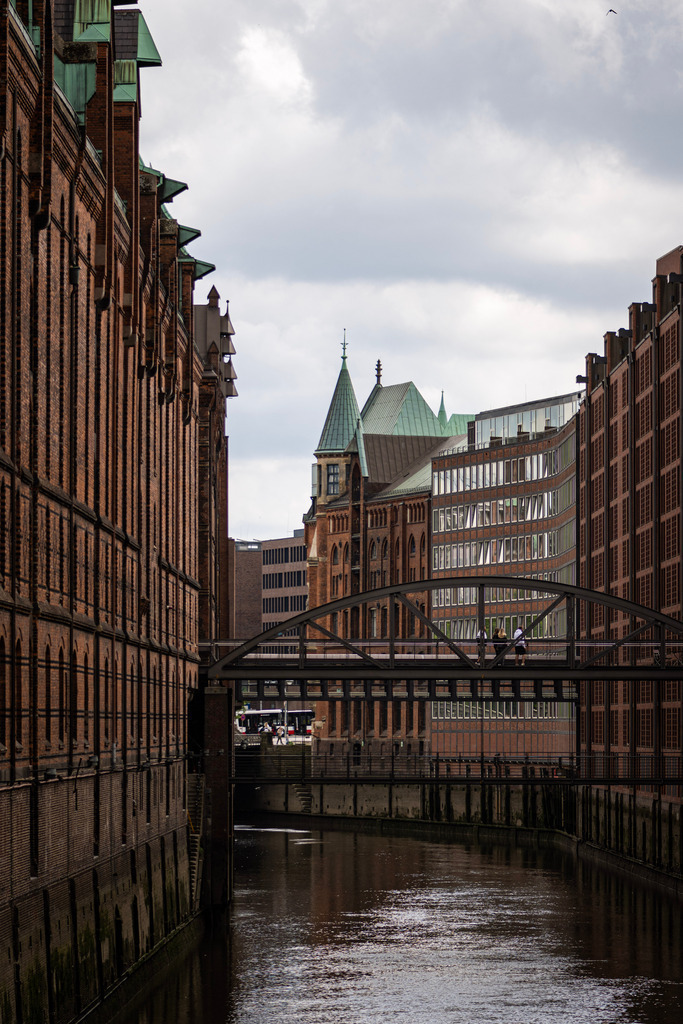 _DSC3258 | kaefersammler_roy - Realisiert mit Pictrs.com