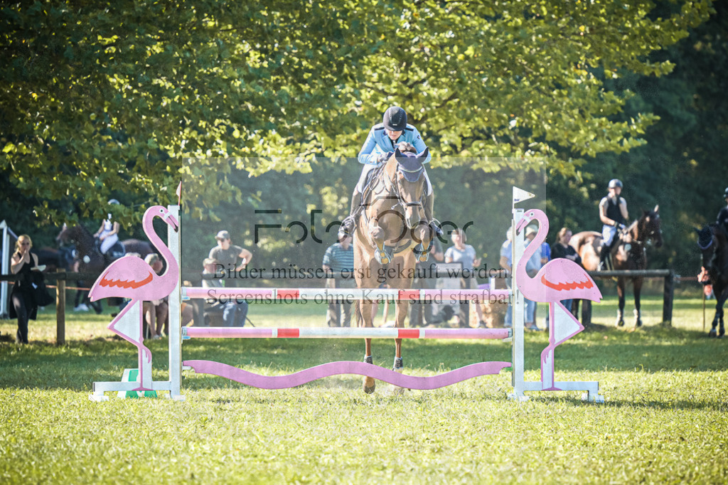 DOS_0320 | Entdecke hochwertige Reitturnierfotos von Foto Oger. Professionell, emotional und authentisch – jetzt Lieblingsmomente im Shop bestellen.Deutschlandweite Turnierfotografie. - Realisiert mit Pictrs.com