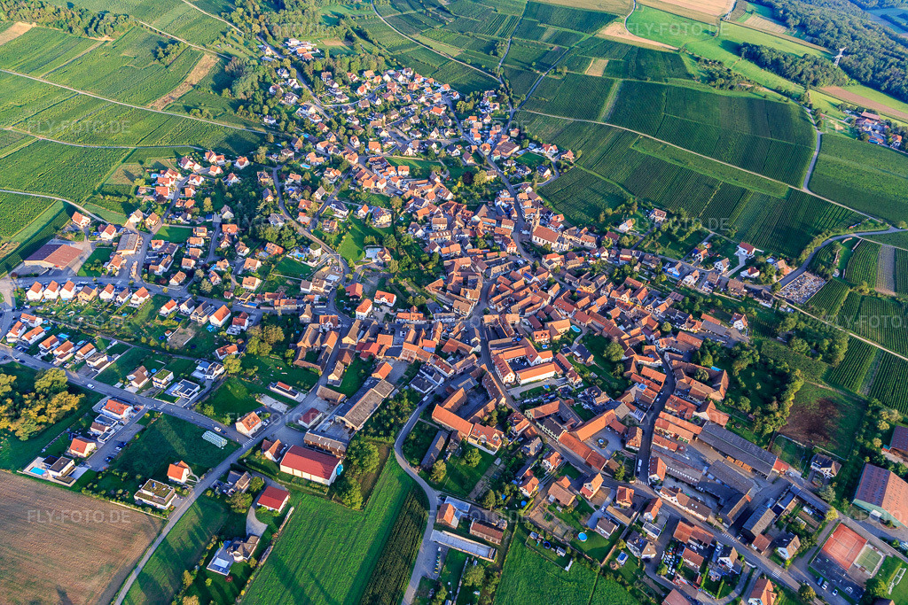Luftbild: Ortsansicht aus Süden in Nordheim im Bundesland Bas-Rhin in Frankreich. – Foto: IMG_138033.jpg vom 19.08.2023 durch Werner Riehm/FLY-FOTO.de – Auflösung des Originals: 5472 x 3648 px