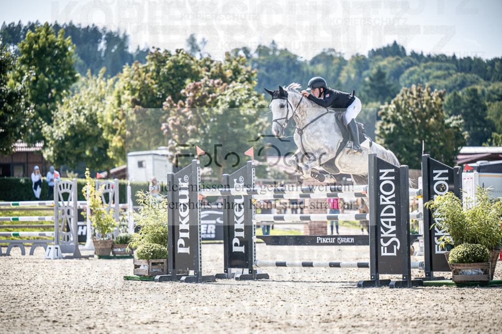 DOS_7205 | Entdecke hochwertige Reitturnierfotos von Foto Oger. Professionell, emotional und authentisch – jetzt Lieblingsmomente im Shop bestellen.Deutschlandweite Turnierfotografie. - Realisiert mit Pictrs.com
