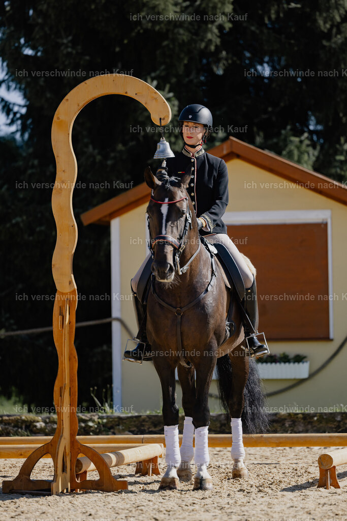 Virginie12FHC2025-27639 | working equitationturnier fotograf videograf stoibphotography marixx film working equitation deutschland reitsport turnierfotografie eventfotografie equestrian events