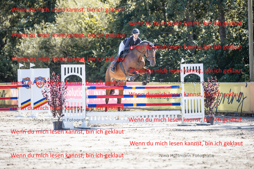 BK1A6886 | Turnierbilder Turnierfotos Nina Hüffmann Turnierfotografie Pferdefotografie Tierzeichnung Haustierzeichnung Pferdezeichnung Hundezeichnung Videograf  - Realisiert mit Pictrs.com