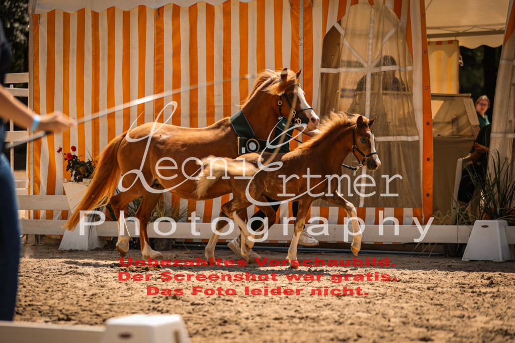 04.DoWP00118 | Leoni Ertmer Photography - Realisiert mit Pictrs.com