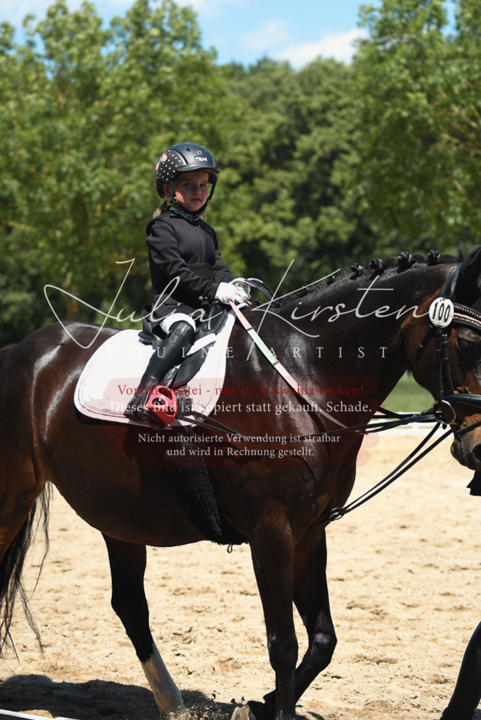 DSC_2007 | Pferde- und Turnierfotografie in Westsachsen. Pferdeportraits, Auftragszeichnungen und intuitive Kunst.