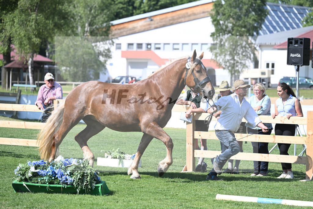 Kat-Nr. 13 Ida_Weiderer_20230199 | hf-fotografie - Realisiert mit Pictrs.com