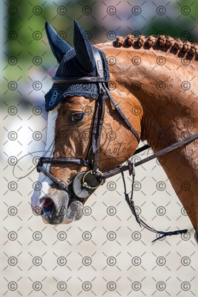 KPT_0578 | andre_photographic