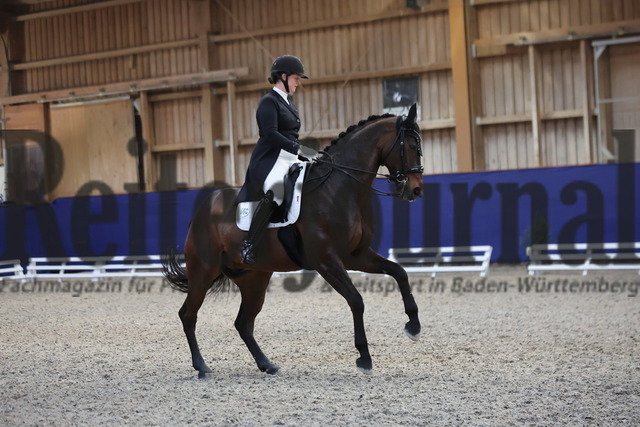 Zeutern_2025_Prfg.Nr.03_Dressurprfg.Kl.S_Intermediaire A_Maja-Lena Bosch-Arens_Dolino 7 (15) | Alle Fotos der Reiterjournal Fotografin Doris Matthaes im Reiterjournal Online-Fotoshop. - Realisiert mit Pictrs.com