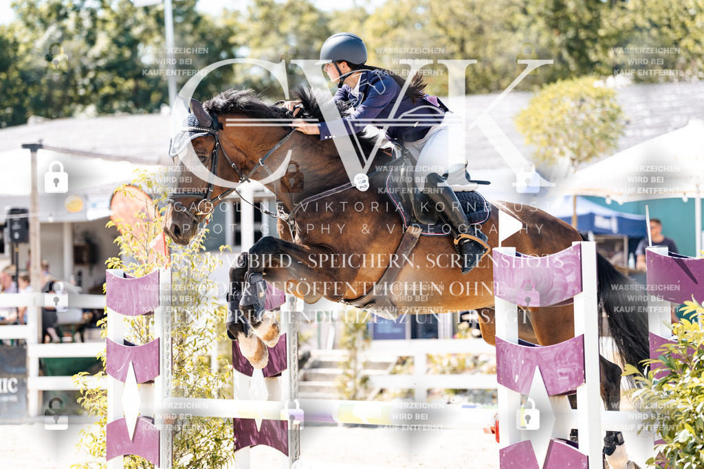 CK909263 | Turnierfotografie Pferdefotografie Trier Rheinland-Pfalz Pferdesport Reitsport Tierfotografie Sportfotografie Pferdevideo Pferdevideografie Equestrianvideography equestrianphotography  - Realisiert mit Pictrs.com