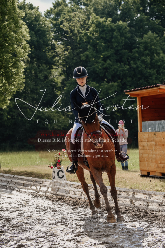 DSC_8893 | Pferde- und Turnierfotografie in Westsachsen. Pferdeportraits, Auftragszeichnungen und intuitive Kunst.