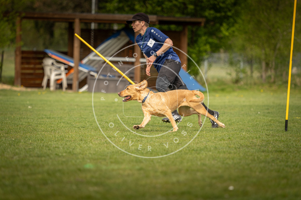 Pfotenfotografie_DV3A5672 | Hundefotografie, Tierfotograf, Pfotenfotografie, Fotoshooting Hund, Hunde Portrait, Hundesport, Hundeportraits, Heideshooting, Hunde, Sportfotograf, Hundefotograf, Turnierhundsport, THS,  - Realisiert mit Pictrs.com
