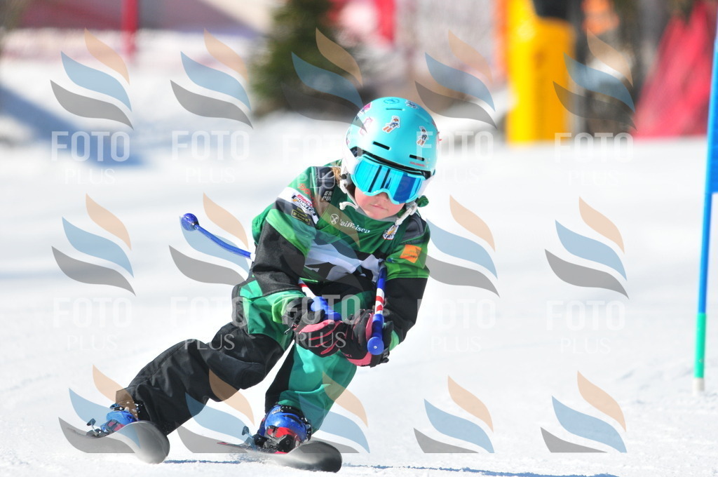 C2753 | holidayphoto