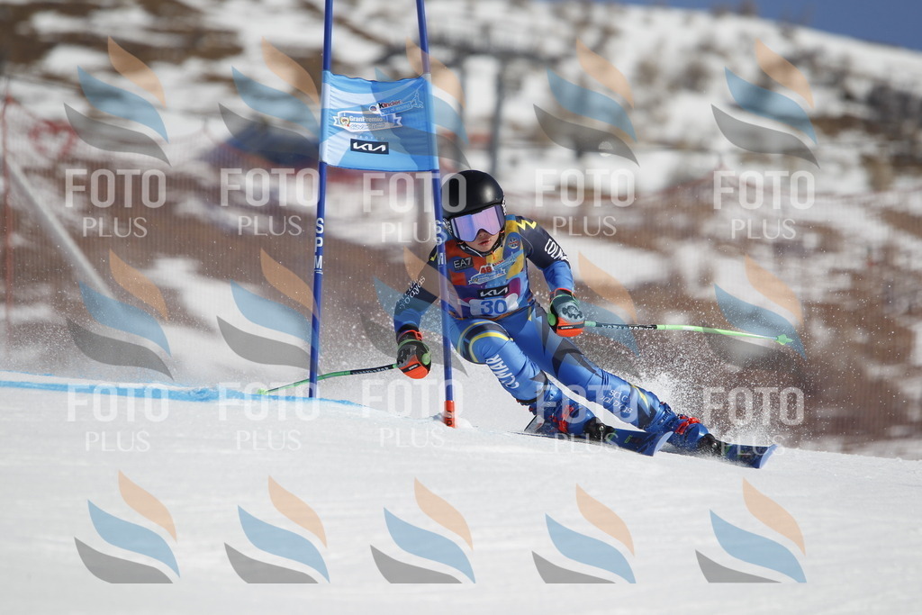 _U3G9028 | holidayphoto