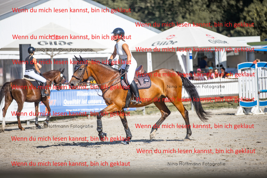 BK1A7285 | Turnierbilder Turnierfotos Nina Hüffmann Turnierfotografie Pferdefotografie Tierzeichnung Haustierzeichnung Pferdezeichnung Hundezeichnung Videograf  - Realisiert mit Pictrs.com