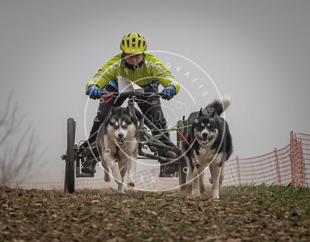 Pfotenfotografie_DV3A4609 | Hundefotografie, Tierfotograf, Pfotenfotografie, Fotoshooting Hund, Hunde Portrait, Hundesport, Hundeportraits, Heideshooting, Hunde, Sportfotograf, Hundefotograf, Turnierhundsport, THS,  - Realisiert mit Pictrs.com