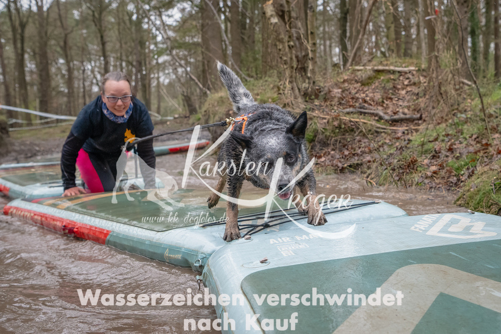 1153_ZZ90247-Bearbeitet | kk-dogfotos