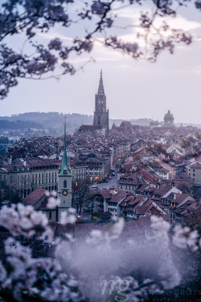 blue hour from Rosengarten with a beautiful view over Bern | Die ideale Geschenkidee für Naturliebhaber. Naturbilder von Marcel Gross Photography für ihr Zuhause in den verschiedensten Formaten und Materialien. - Realisiert mit Pictrs.com