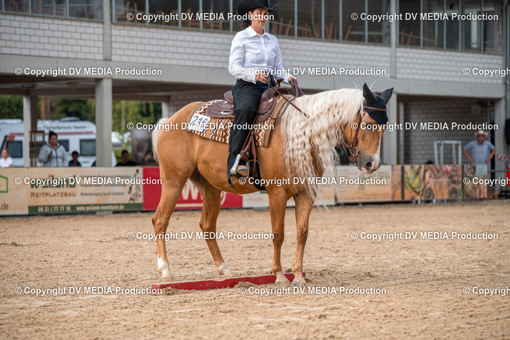 EWP_5633 | dv-media-shop - Realisiert mit Pictrs.com