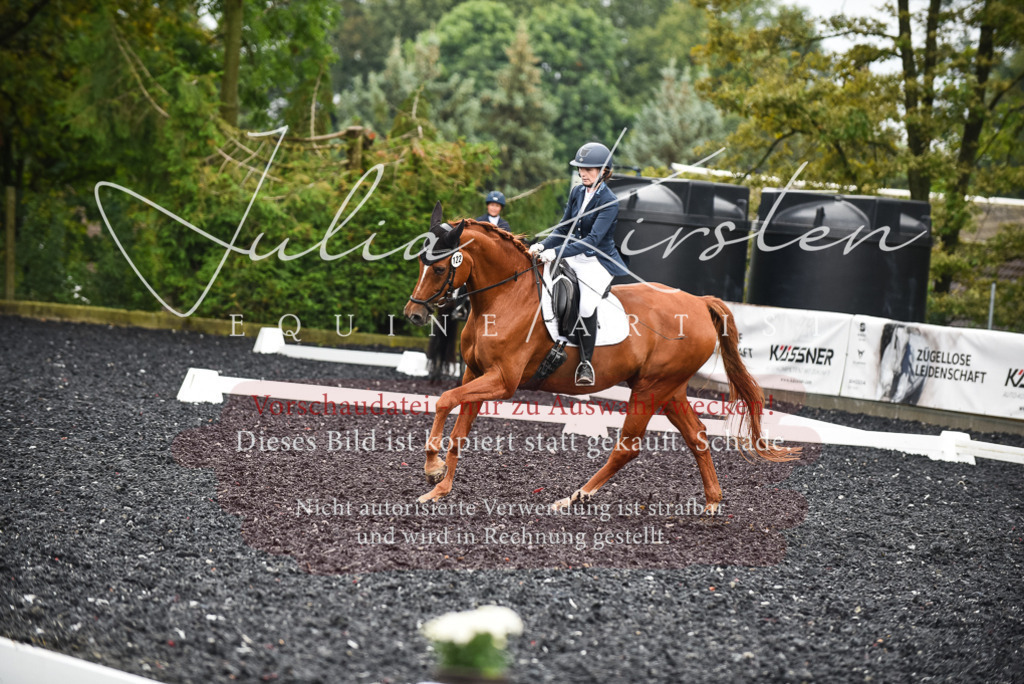 DSC_2774 | Pferde- und Turnierfotografie in Westsachsen. Pferdeportraits, Auftragszeichnungen und intuitive Kunst.