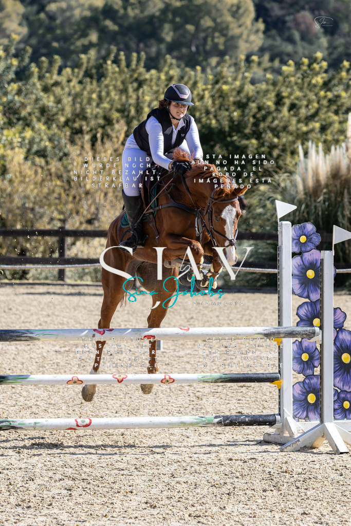 IMG_6328 | s-jay-photography - Realisiert mit Pictrs.com