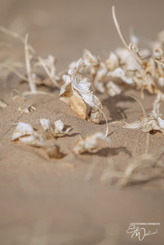 Ayaz Kala, Kizilkum, Usbekistan | Herzlich willkommen auf meiner Seite! Ich bin Elke Wallnisch, Deine Fotografin für lichtstarke Momente. Der Name steht für alles, was mich mit der Fotografie verbindet: Das Licht und seine machtvolle Wirkung auf eine Situation oder unsere Stimmung - Realisiert mit Pictrs.com