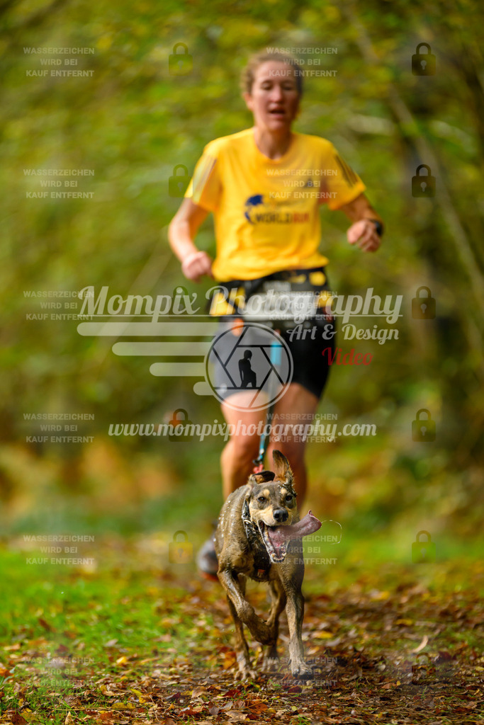 MompixPhotography_20TSB_E1_Run-10 | PayLife