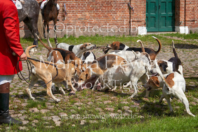 _MCH8565_Marina Hewig | Fotografie, FotoArt, PferdesportArt, Pferdesportfotografie, Landschaftsfotografie, Reisefotografie, Reise, Pferde - Realisiert mit Pictrs.com