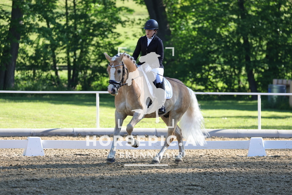 0P6A9355 | Willkommen bei Brunnmayr - Design & Fotografie – Ihrem Spezialisten für Reitturniere und Pferdeveranstaltungen in Oberösterreich, Salzburg und Bayern! Seit über 17 Jahren sind wir leidenschaftlich dabei.