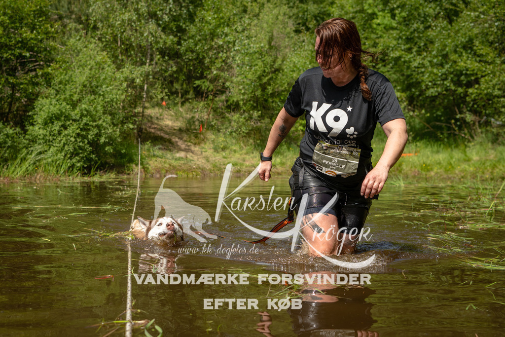1247DKK993519 | kk-dogfotos