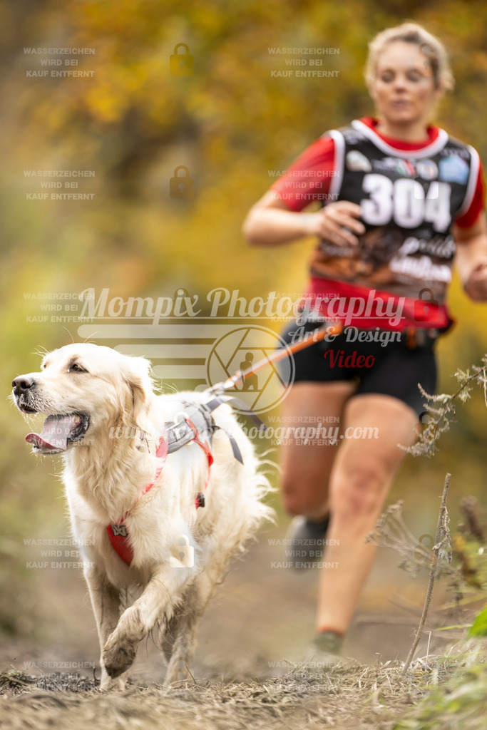 MompixPhotography_ICF_WC_2024_SA_Run_-169 | PayLife