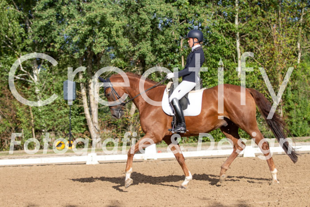 IMG_4772 | Creatify Fotografie