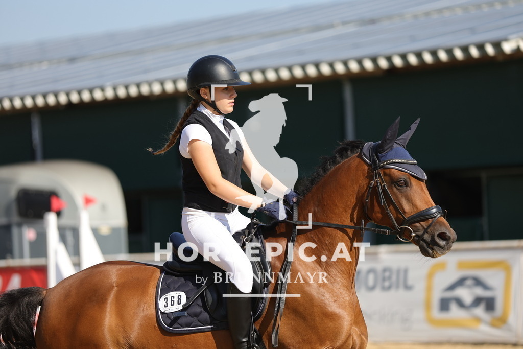 0P6A5020 | Willkommen bei Brunnmayr - Design & Fotografie – Ihrem Spezialisten für Reitturniere und Pferdeveranstaltungen in Oberösterreich, Salzburg und Bayern! Seit über 17 Jahren sind wir leidenschaftlich dabei.