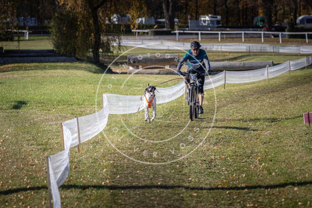CaniXpix_DV3A6218 | Hundefotografie, Tierfotograf, Pfotenfotografie, Fotoshooting Hund, Hunde Portrait, Hundesport, Hundeportraits, Heideshooting, Hunde, Sportfotograf, Hundefotograf, Turnierhundsport, THS,  - Realisiert mit Pictrs.com
