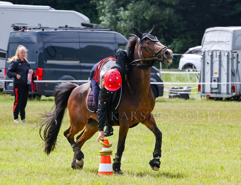 1B3A2581 | Reitsport Reiten