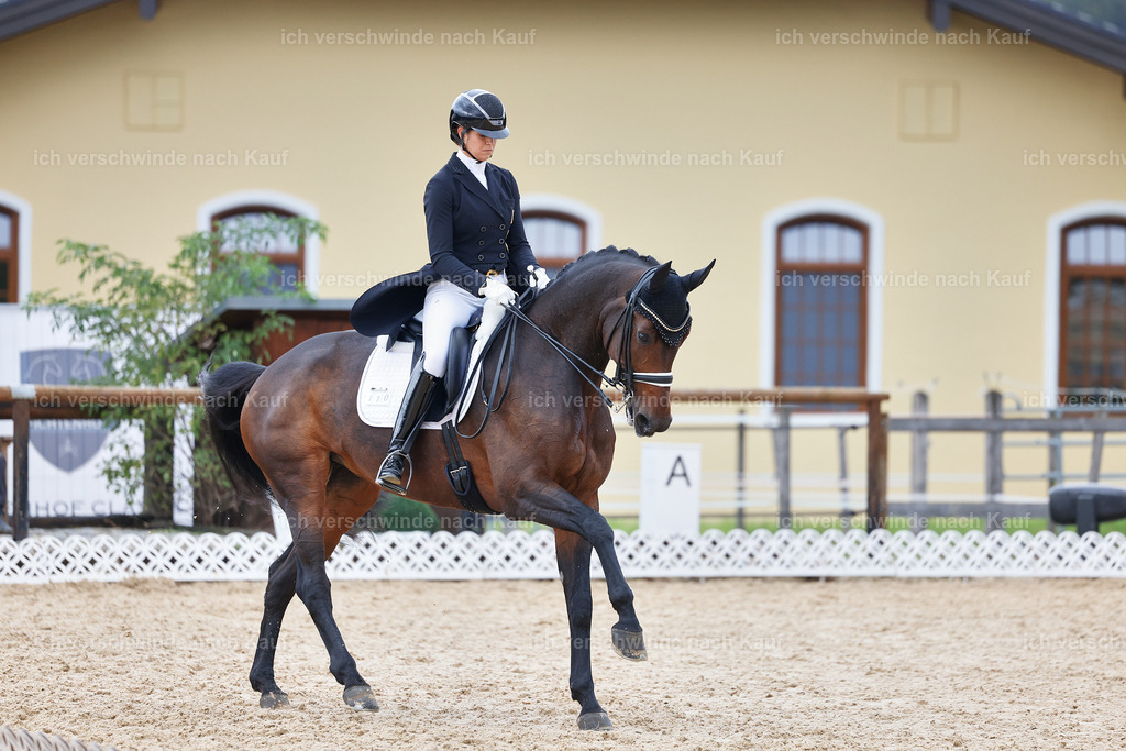 12-110-DRESSUR  S___  -StoibPH-5291 | working equitationturnier fotograf videograf stoibphotography marixx film working equitation deutschland reitsport turnierfotografie eventfotografie equestrian events