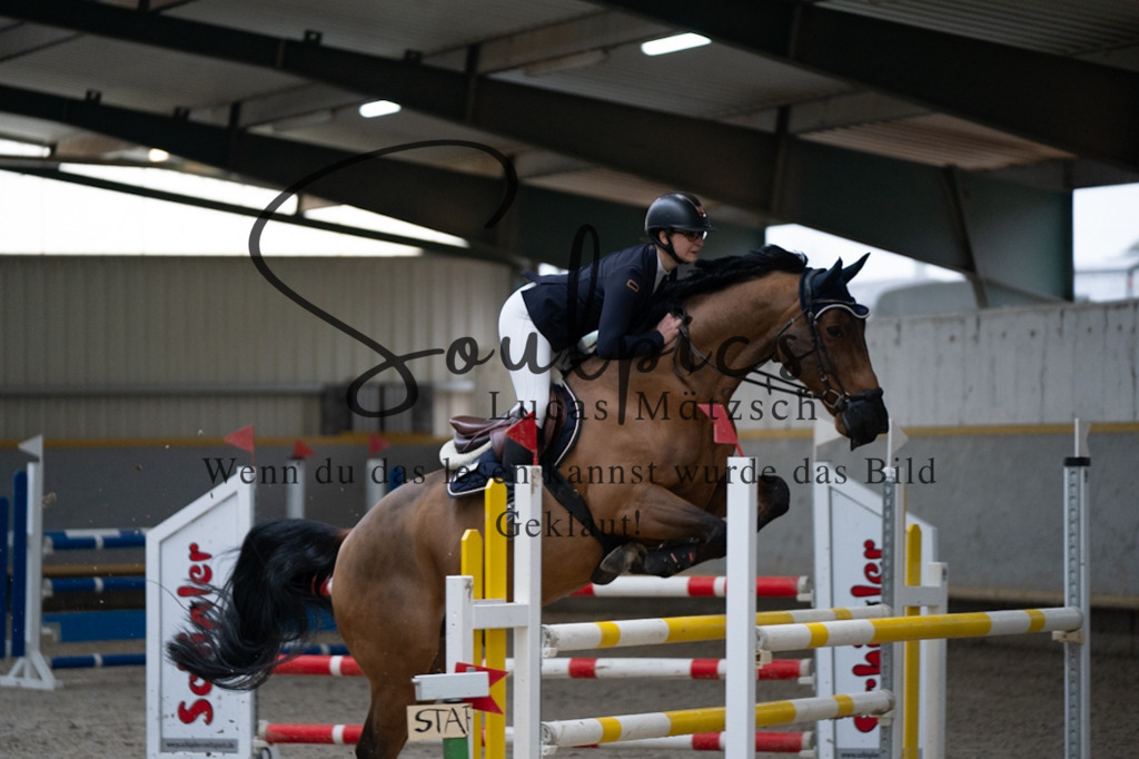 A7V08746 | Pferdefotograf