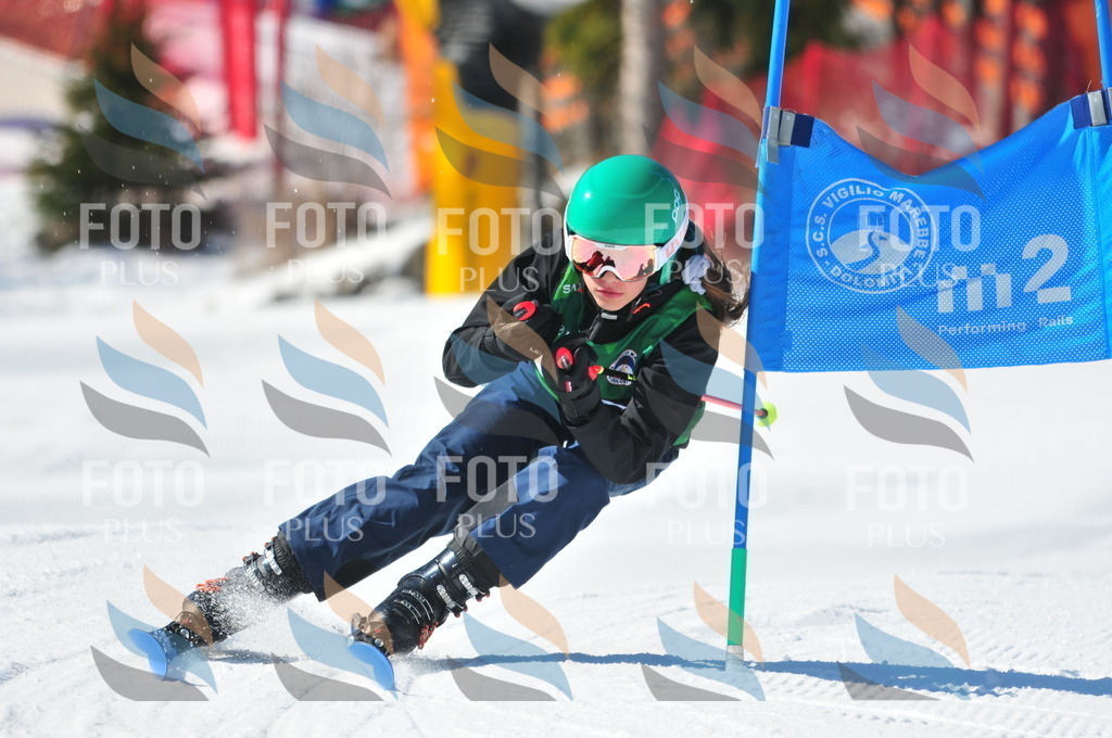 C3741 | holidayphoto