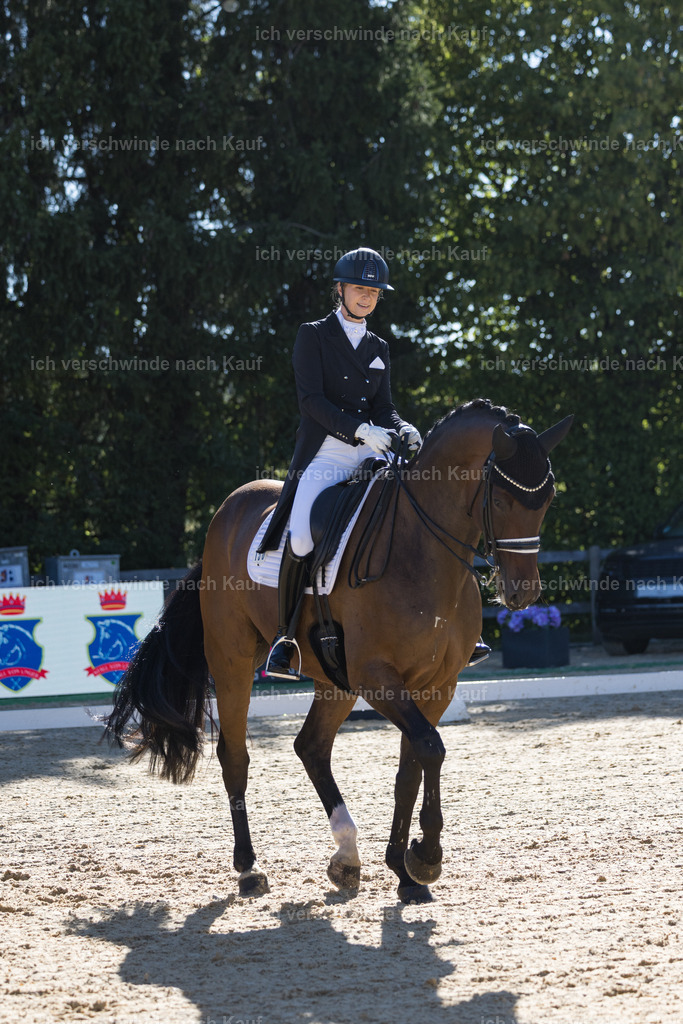 FHC2026_P07_150_17283 | working equitationturnier fotograf videograf stoibphotography marixx film working equitation deutschland reitsport turnierfotografie eventfotografie equestrian events