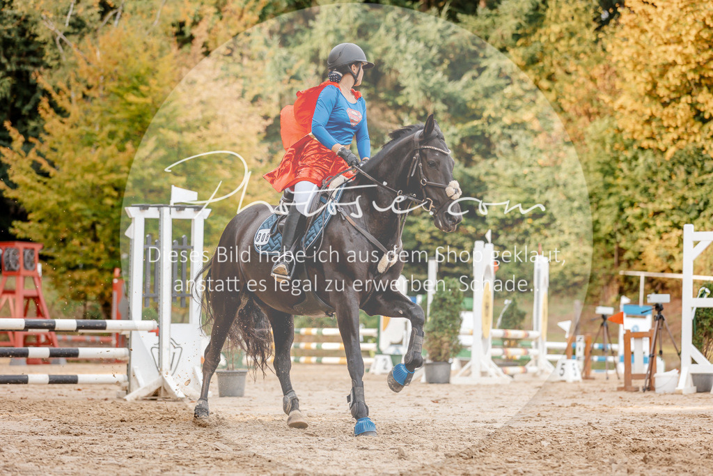 3I6A2692 | Stimmungsvolle Portraits und Reitsportfotografie im Ruhrgebiet und im Münsterland.

Pferdefotografie, Hundefotografie, Tierfotografie, Reportagen, Portraits von Tier und Mensch, Turnierfotografie in Bochum, Recklinghausen, Marl, Haltern am See, Dülmen.. - Realisiert mit Pictrs.com