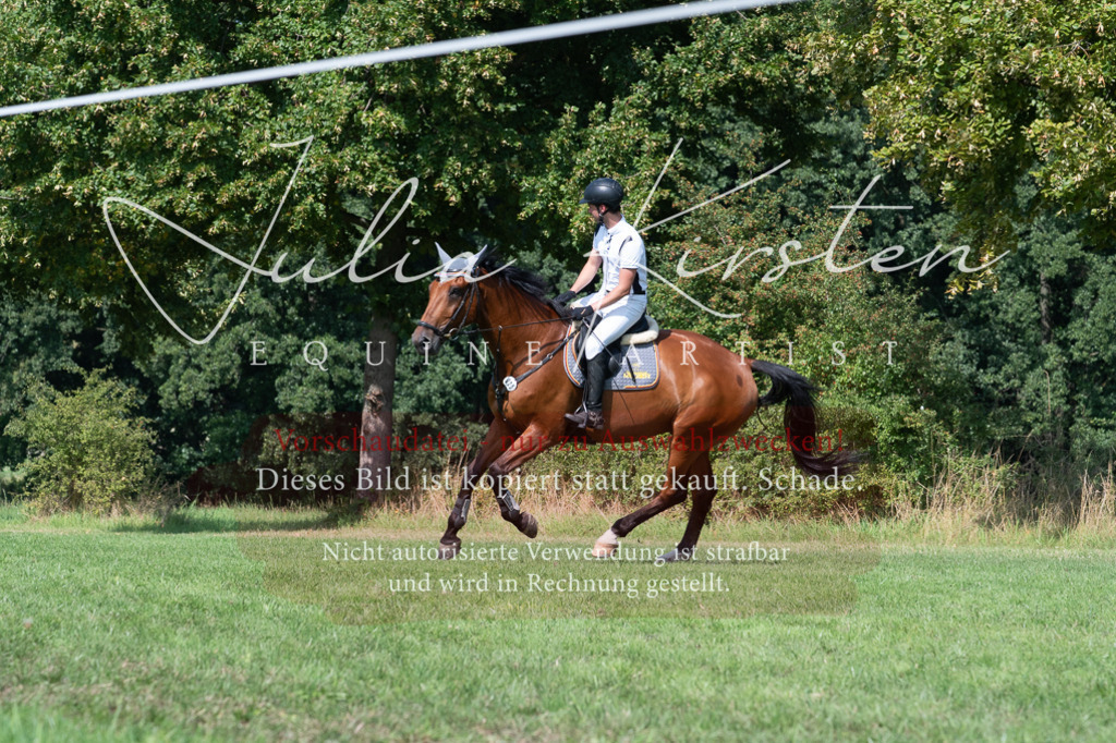 DSC_0817 | Pferde- und Turnierfotografie in Westsachsen. Pferdeportraits, Auftragszeichnungen und intuitive Kunst.
