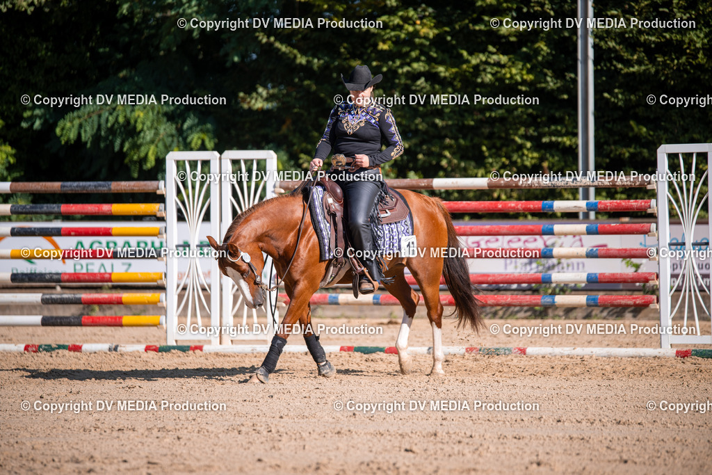 ZS1_0730 | dv-media-shop - Realisiert mit Pictrs.com