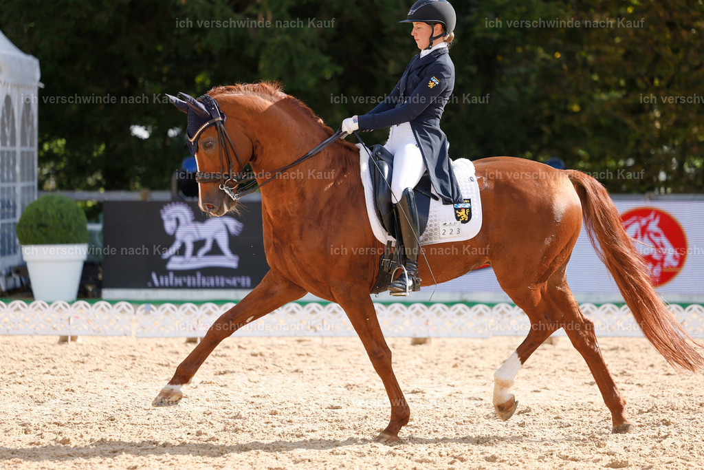 09_2-223-DRESSUR  S_  -StoibPH-5792 | working equitationturnier fotograf videograf stoibphotography marixx film working equitation deutschland reitsport turnierfotografie eventfotografie equestrian events