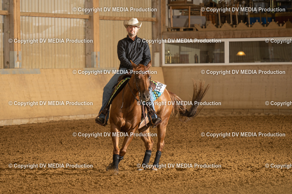 LAU00396 | dv-media-shop - Realisiert mit Pictrs.com