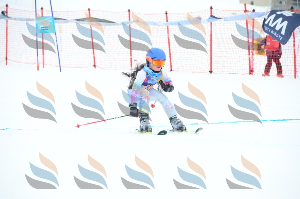 DSC_0943 | holidayphoto