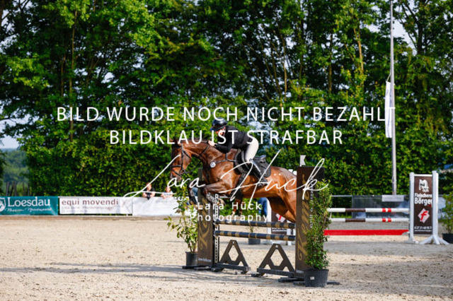 _62_3515 | larahueckfotografie