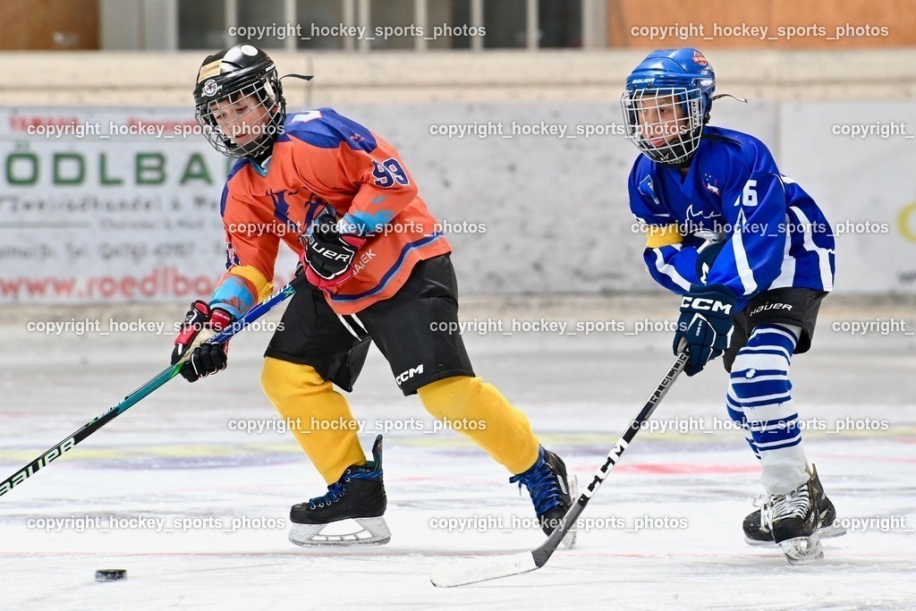 Dukes RINK Rumble Spittal a.d.Drau 9.-10.9.2023 | hockey sports photos, Pressefotos, Sportfotos, hockey247, win 2day icehockeyleague, Handball Austria, Floorball Austria, ÖVV, Kärntner Eishockeyverband, KEHV, KFV, Kärntner Fussballverband, Österreichischer Volleyballverband, Alps Hockey League, ÖFB, 