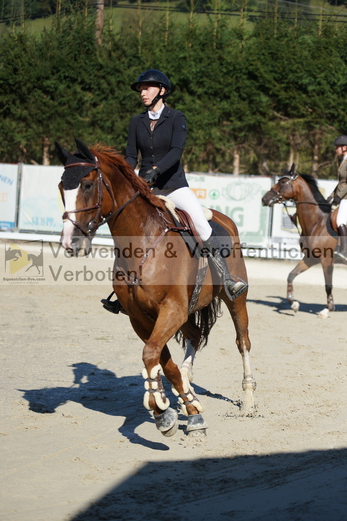 DSC02967 | equestrian-live-com