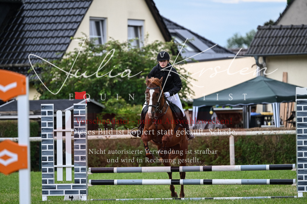 DSC_8369 | Pferde- und Turnierfotografie in Westsachsen. Pferdeportraits, Auftragszeichnungen und intuitive Kunst.